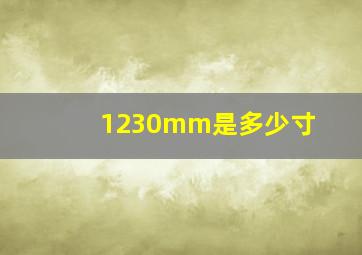 1230mm是多少寸