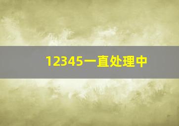 12345一直处理中