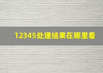 12345处理结果在哪里看