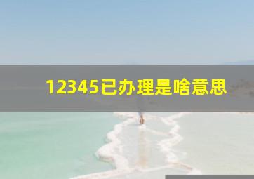 12345已办理是啥意思