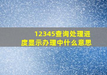 12345查询处理进度显示办理中什么意思