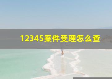 12345案件受理怎么查