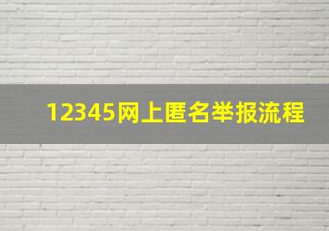 12345网上匿名举报流程