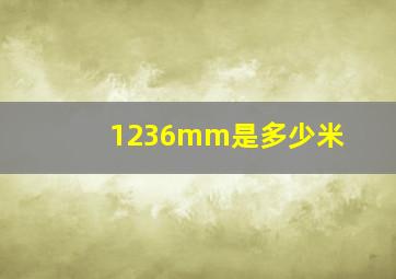 1236mm是多少米