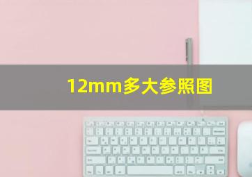 12mm多大参照图