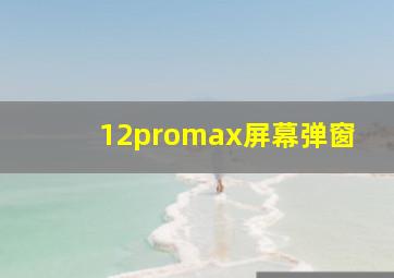 12promax屏幕弹窗