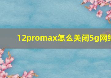 12promax怎么关闭5g网络