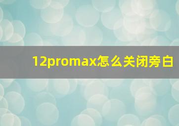 12promax怎么关闭旁白