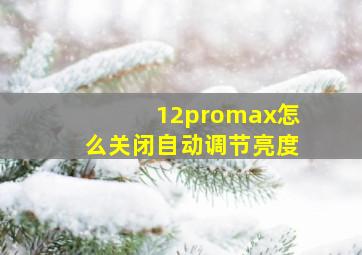 12promax怎么关闭自动调节亮度