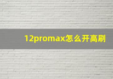 12promax怎么开高刷