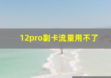 12pro副卡流量用不了