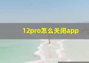 12pro怎么关闭app