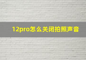 12pro怎么关闭拍照声音