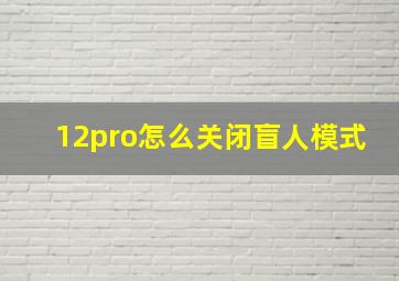 12pro怎么关闭盲人模式