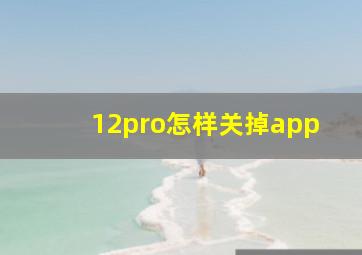 12pro怎样关掉app