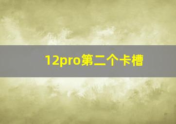 12pro第二个卡槽