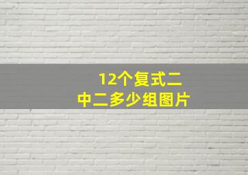 12个复式二中二多少组图片