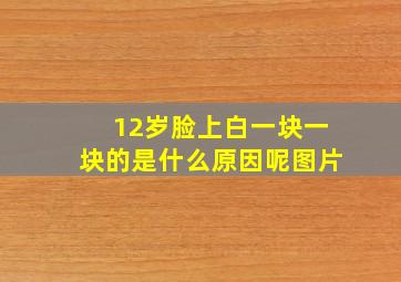 12岁脸上白一块一块的是什么原因呢图片