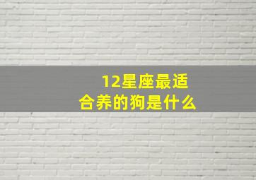 12星座最适合养的狗是什么