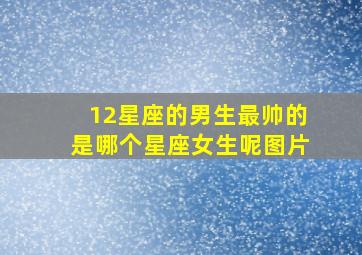 12星座的男生最帅的是哪个星座女生呢图片