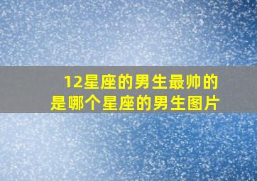 12星座的男生最帅的是哪个星座的男生图片