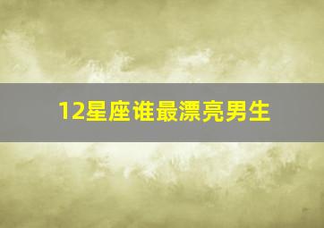 12星座谁最漂亮男生