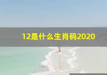 12是什么生肖码2020