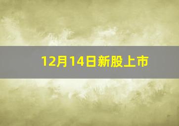 12月14日新股上市