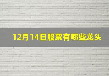 12月14日股票有哪些龙头