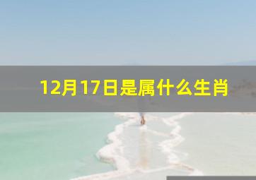 12月17日是属什么生肖