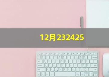 12月232425