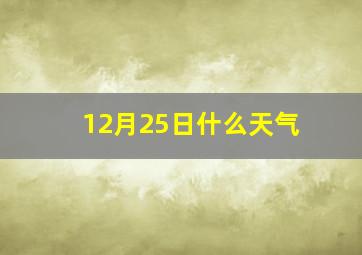 12月25日什么天气