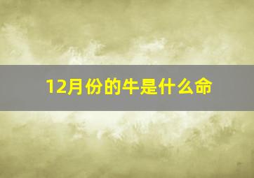 12月份的牛是什么命