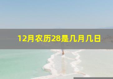 12月农历28是几月几日