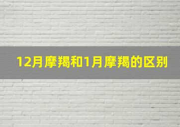 12月摩羯和1月摩羯的区别