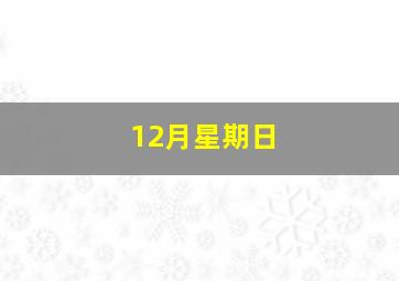 12月星期日