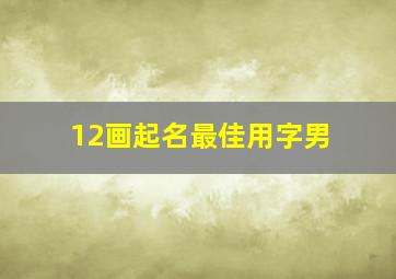 12画起名最佳用字男