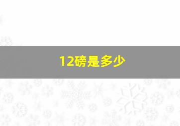 12磅是多少