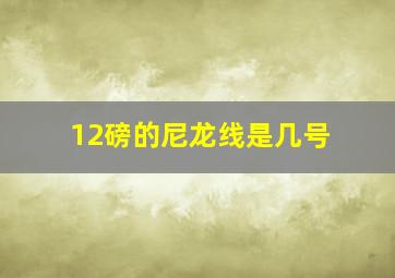 12磅的尼龙线是几号