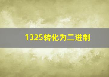 1325转化为二进制