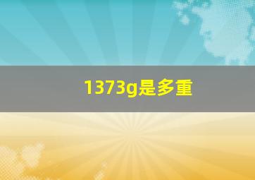 1373g是多重