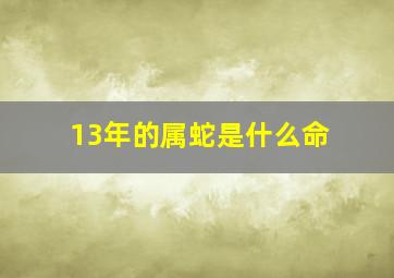 13年的属蛇是什么命