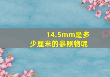 14.5mm是多少厘米的参照物呢