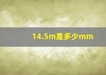 14.5m是多少mm