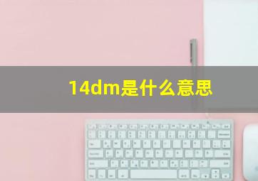 14dm是什么意思