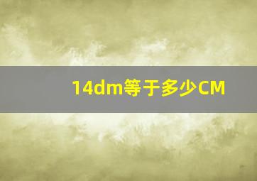 14dm等于多少CM