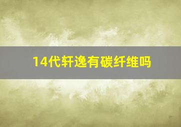 14代轩逸有碳纤维吗