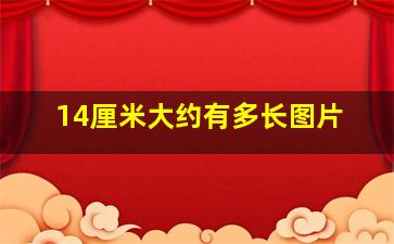 14厘米大约有多长图片