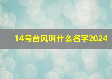 14号台风叫什么名字2024