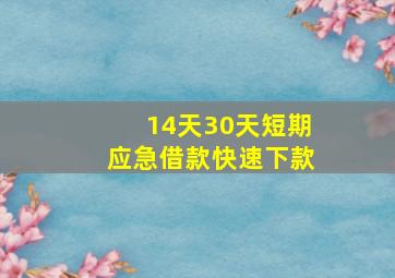 14天30天短期应急借款快速下款